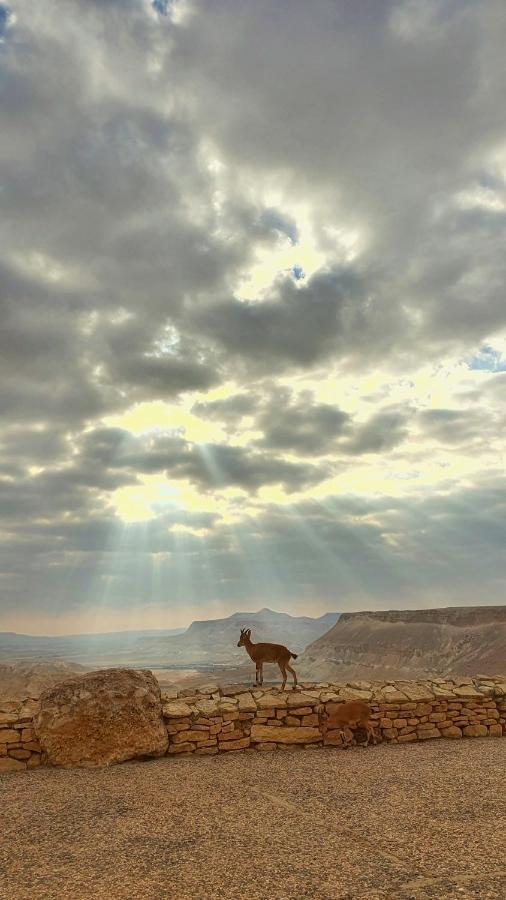 Shoshanat Hamidbar Villa Midreshet Ben Gurion Eksteriør billede