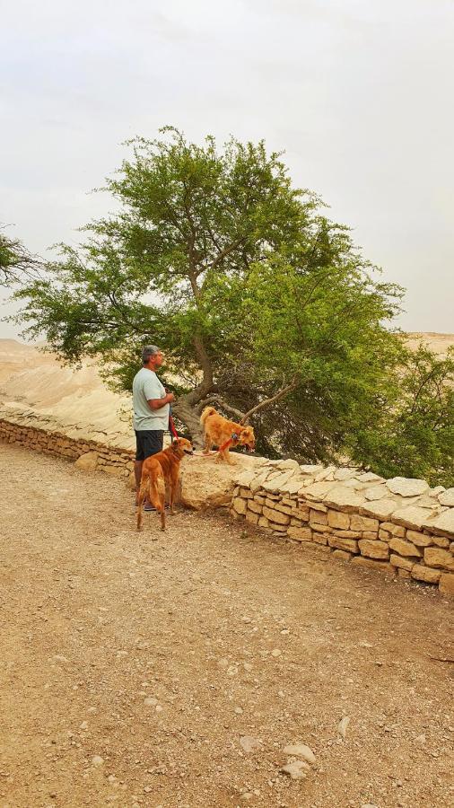 Shoshanat Hamidbar Villa Midreshet Ben Gurion Eksteriør billede