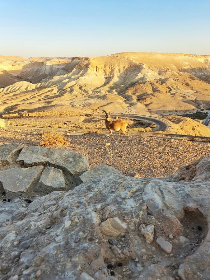 Shoshanat Hamidbar Villa Midreshet Ben Gurion Eksteriør billede