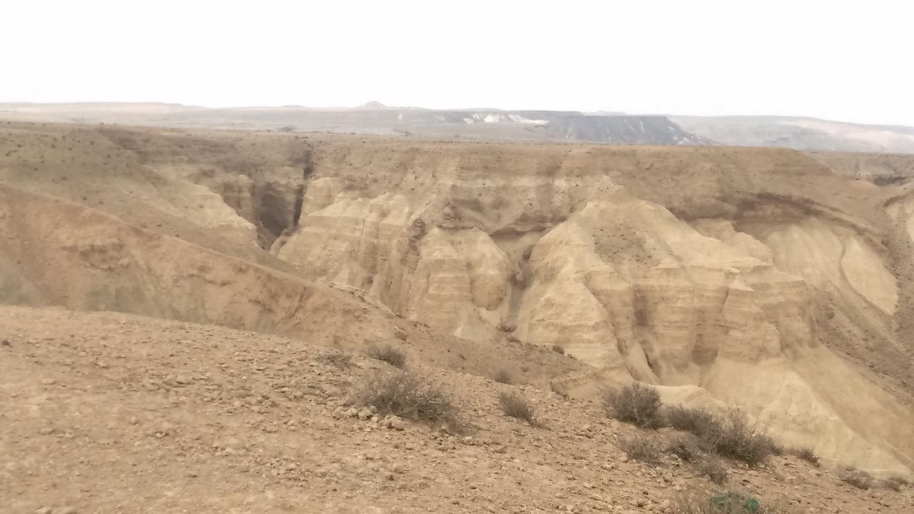 Shoshanat Hamidbar Midreshet Ben Gurion Eksteriør billede