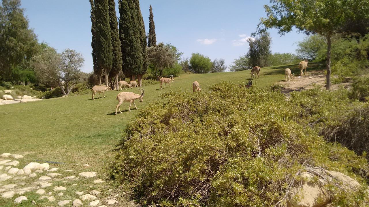 Shoshanat Hamidbar Villa Midreshet Ben Gurion Eksteriør billede