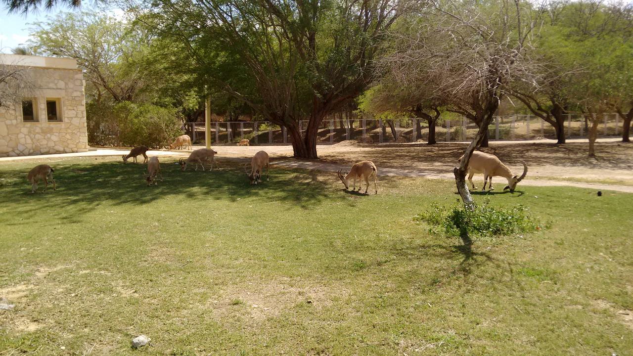 Shoshanat Hamidbar Villa Midreshet Ben Gurion Eksteriør billede