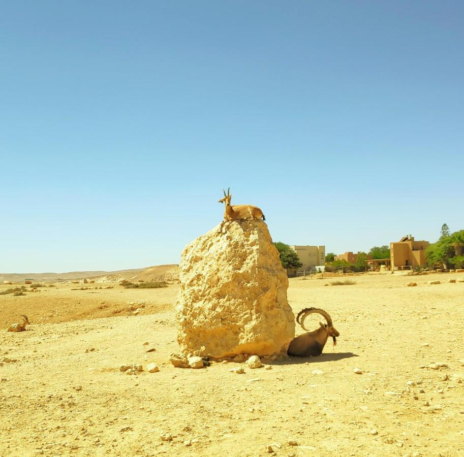 Shoshanat Hamidbar Villa Midreshet Ben Gurion Eksteriør billede